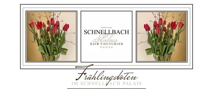 Schnellbach-Palais-Landshut-Fruehlingserwachen.jpeg 